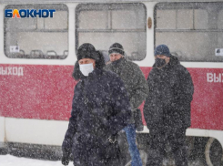 В Волгоградской области стали меньше штрафовать за нарушение масочного режима