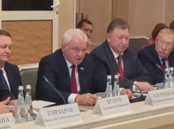 Правдоруб из Госдумы высказал при министрах то, что не решались озвучить крестьяне