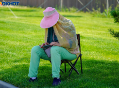 Ждать ли нашествия комаров весной-2026, объяснил биолог