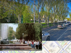 «В 80-х деревья в три ряда были»: как в центре Волгограда избавились от тени
