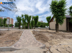 «Сколько будете экономить на воде?»: продюсер заявил о неумелом озеленении Волгограда на млрд рублей