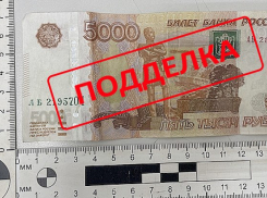 Фальшивые 5-тысячные купюры «гуляют» по Волгограду