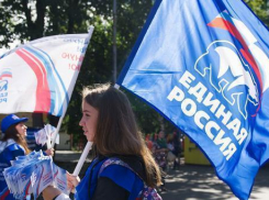 В Волгограде единороссы готовятся исключить из политсовета Елену Слесаренко