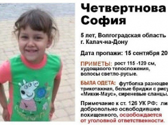 Похититель девочки из Калача избежит наказания, если вернет малышку живой 