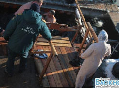 Волгоградцы окунулись в крещенскую воду