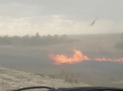 Установлены виновники крупного пожара в Дубовском районе