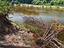 Тело 50-летнего мужчины обнаружено на берегу Хопра в Волгоградской области