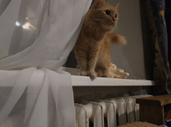 Коммунальные беды объединили волгоградцев в День народного единства