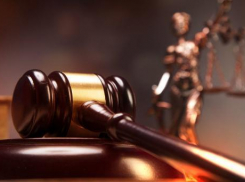 Новый глава района под Волгоградом ранее привлекался к суду за вольное обращение с бюджетными деньгами