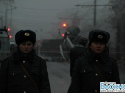 Волгоградцев попросили накормить добровольцев, патрулирующих улицы