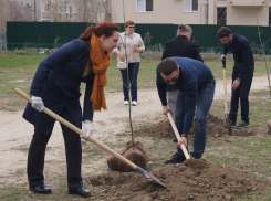 Деревья вместо свалки: на улице Пархоменко появились первые саженцы