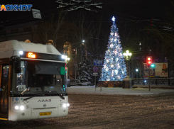 Волгоград, завидуй: в Волжском запустили бесплатные автобусы в новогоднюю ночь