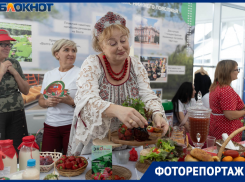 Аромат арбузов и лука: яркие кадры принявшего тысячи гостей «Волга-Дон Агро Фест»
