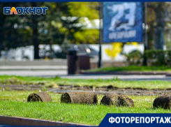 Волгоградский фотограф показал, как город готовится к лету