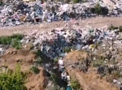 Природный оазис на берегу Ахтубы превратили в огромный мусорный отстойник