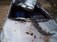 Водитель «десятки» насмерть сбил лошадь в Волгоградской области: два человека в больнице