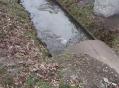 Канализационная жижа заполняет реку под Волгоградом: видео