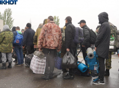 Стало известно, какие прививки сделают волгоградским мобилизованным