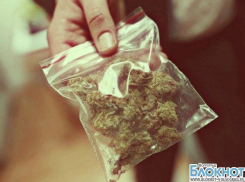 Волгоградец за 30 граммов марихуаны отсидит 8 лет