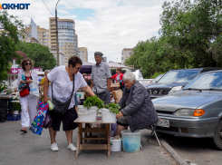 Жара отступает: какая погода ждет Волгоград на выходных 11–12 июля