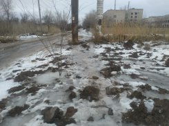 «Спасибо вам за всех ползущих и падающих»: гололед спровоцировал мусорный коллапс и заставил волгоградцев сидеть дома