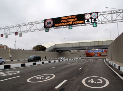 Строителей тоннеля на Тулака обязали посадить крымские сосны взамен усохших