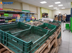Вороватые Зита и Рита ели, одевались и мылись за счет сетевых магазинов под Волгоградом