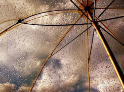 С дождей и гроз начнется учебный год в Волгоградской области