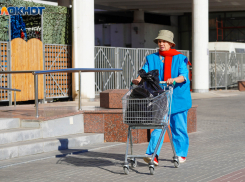 Волгоградский эксперт рассказал, как щедрая поддержка АПК привела к критическому росту цен на продукты
