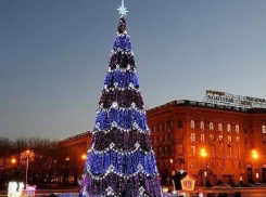 Главная елка Волгограда зажглась новогодними огнями