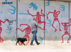 МЧС предупредило волгоградцев о жутком зное