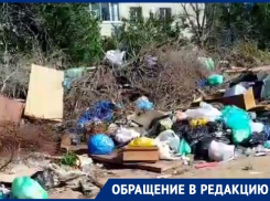 Свалку с разлагающимися трупами собак пять лет требуют убрать в Волгограде