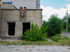 В Волгоградской области убивают чаще, чем насилуют: статистика СК