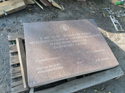 Детище экс-мэра Волгограда Романа Гребенникова отправили на помойку 