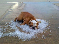 Жара достигнет +38 градусов в Волгоградской области на новой неделе