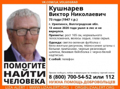Ушел в лес и не вернулся: в Волгоградской области ищут 73-летнего пенсионера