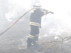 Активист ОНФ обвиняет власти Волгоградской области в уничтожении системы пожарной безопасности