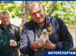 Катался на аттракционах и кормил зверей: мэр Донецка замечен в центре Волгограда 