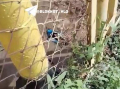 Вода третьи сутки бьет ключом из-под котельной в Волгограде