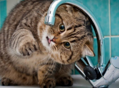 На юге Волгограда отключили горячую воду