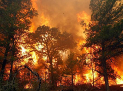 В Волгограде готовятся к крупным пожарам