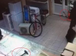 Полиция Волгограда просит помочь в розыске троих налетчиков на ломбард