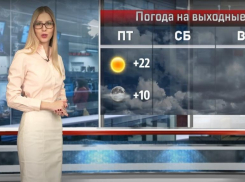 Дожди и солнце: какая будет погода на выходных в Волгограде