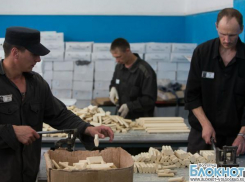 Волгоградские заключенные смогут работать за 194 рубля в день