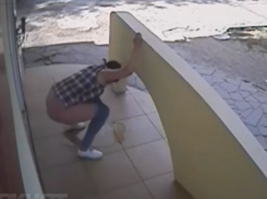 Писающая женщина на ступеньках юрфирмы попала на камеру в Волжском