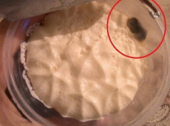 Йогуртом с плесенью отметила волгоградка День города