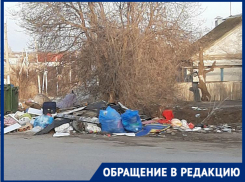 Остановить ползающую свалку потребовала волгоградка