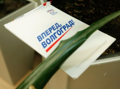 В Волгограде региональная вертикаль показала свой абсолютный максимум в условиях отсутствия конкуренции, - эксперт о выборах