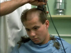 Сотрудники училища Волгоградской области скрывали студента от военкомата