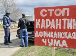 В Волгограде запрещена торговля мясом с фермерских подворий